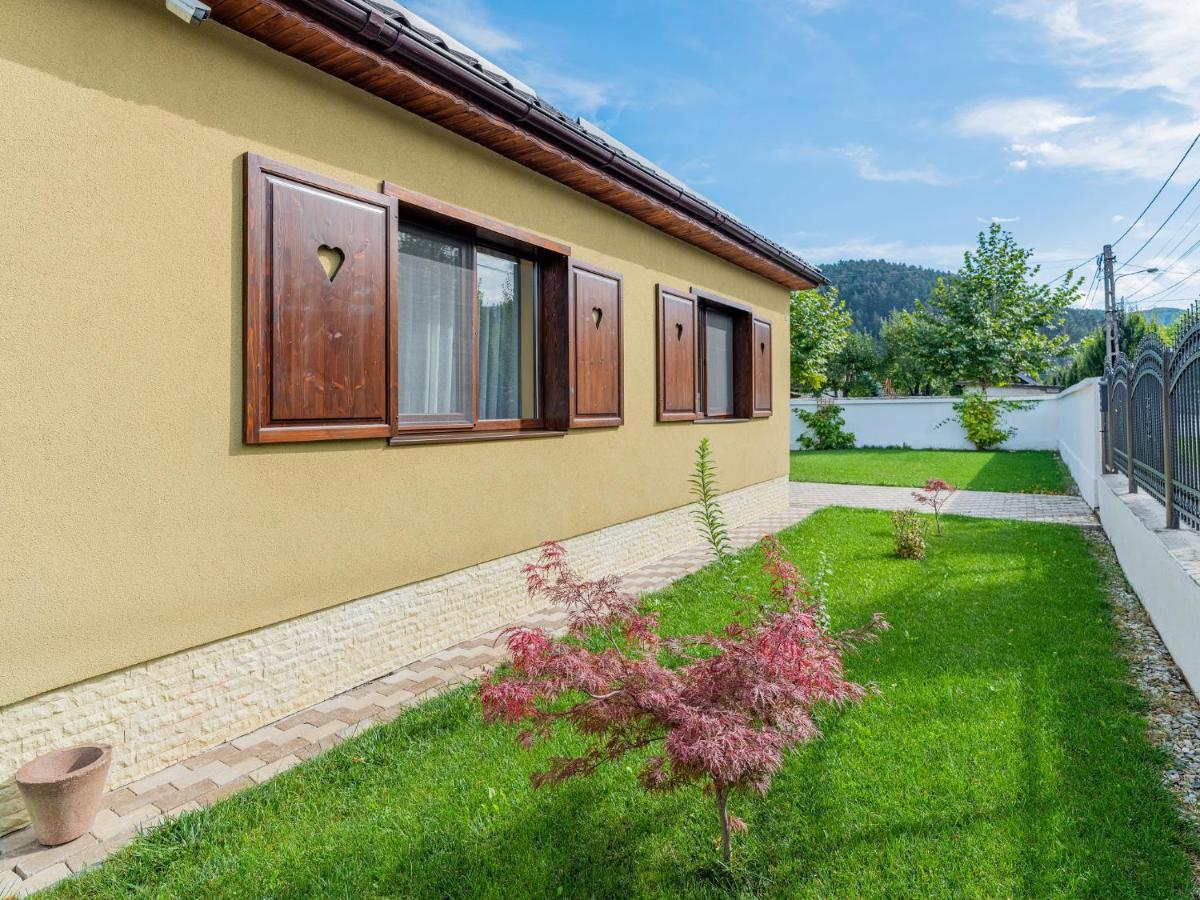 Casa Saraste Ξενοδοχείο Rîşnov Εξωτερικό φωτογραφία